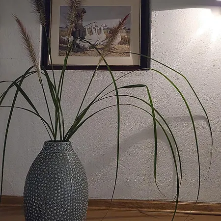 Altes Pastorenhaus Sankt Georgiwold Apartment *